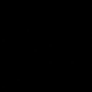 Meet your Posher, Ellie